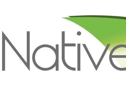 Native Body - Logo