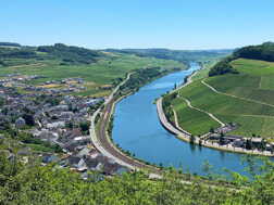 Elblingfreunde Website