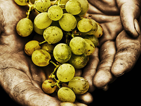 WEINGUT FRIEDEN-BERG